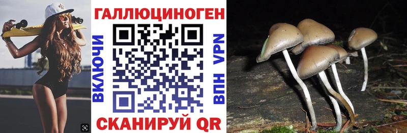 Псилоцибиновые грибы прущие грибы  Ленск 